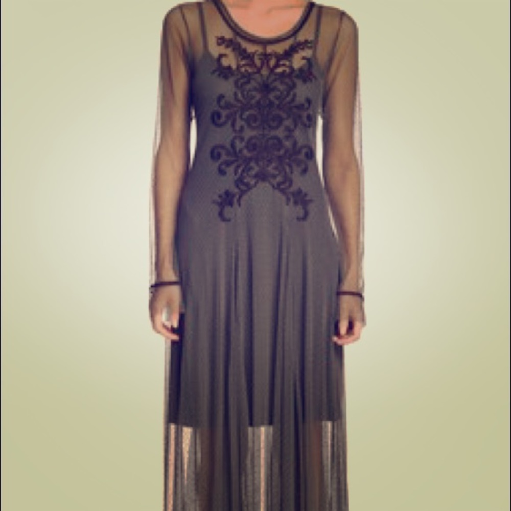 Floor length Biya mesh embroidered dress NWT